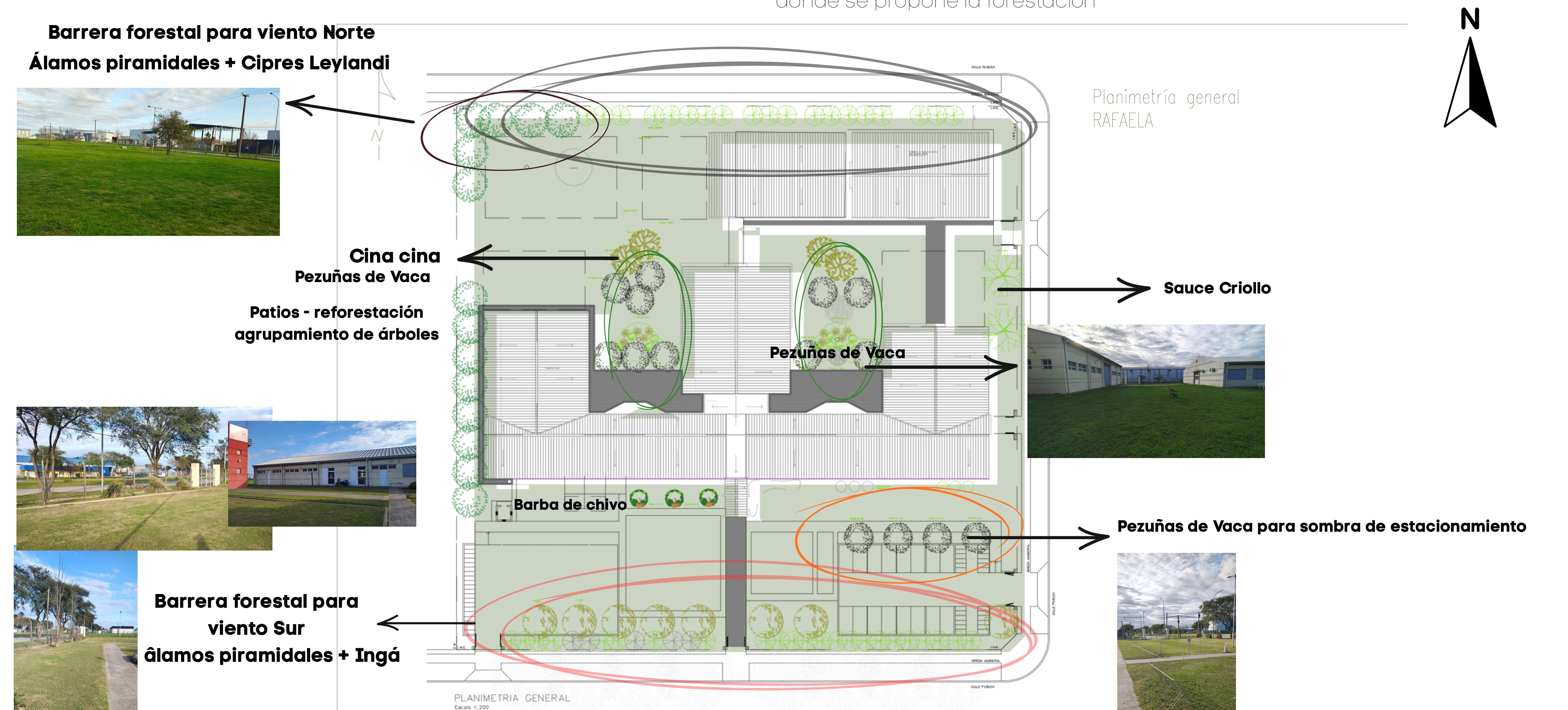 Plano de forestación del predio del ITEC
