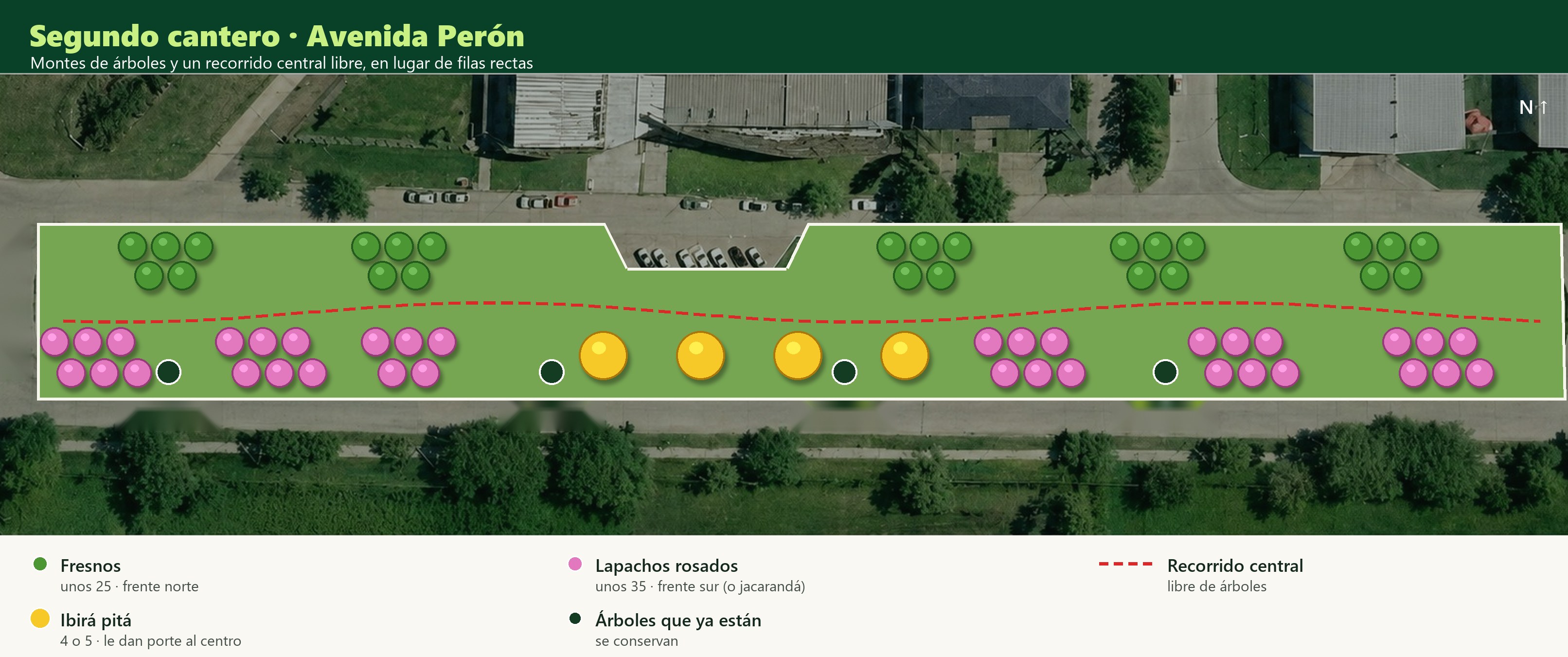 Plano del segundo cantero de la avenida Perón con los montes de árboles