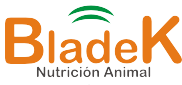 BladeK